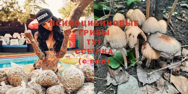 таблы Гусиноозёрск