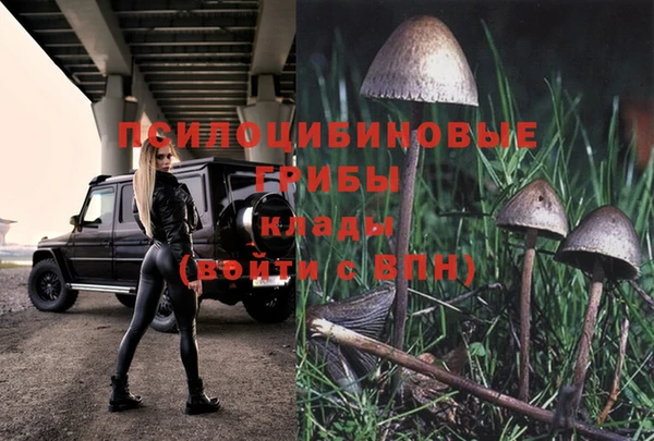 MESCALINE Гусев