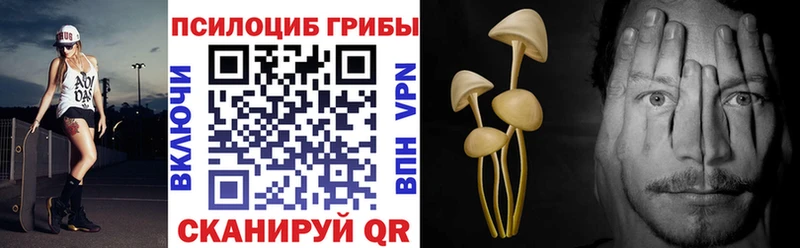 Купить Похвистнево Галлюциногенные грибы мицелий